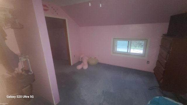 additional living space with carpet and lofted ceiling