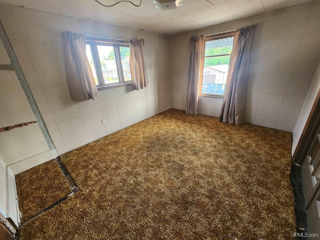 spare room with carpet