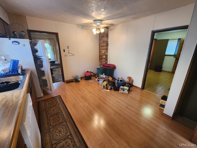 interior space featuring ceiling fan, brick wall, light hardwood / wood-style floors, a wealth of natural light, and a textured ceiling