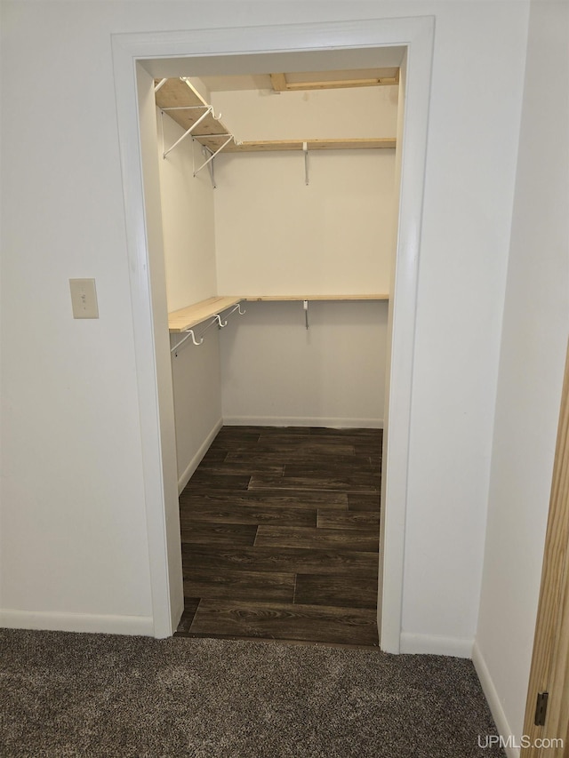 spacious closet featuring dark carpet and dark wood finished floors