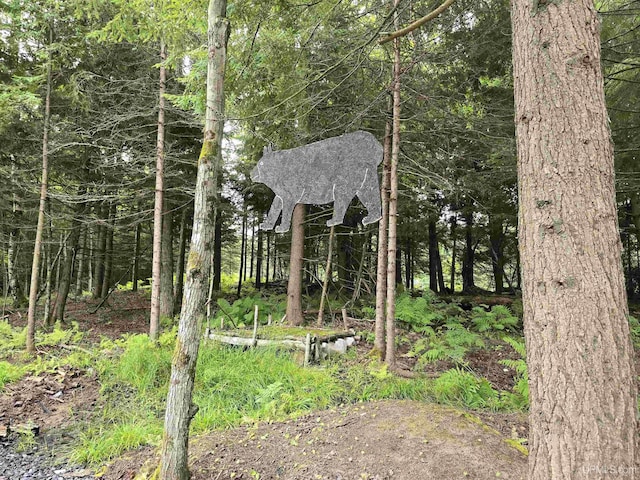 view of local wilderness featuring a forest view