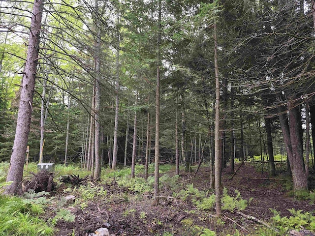 view of nature with a wooded view