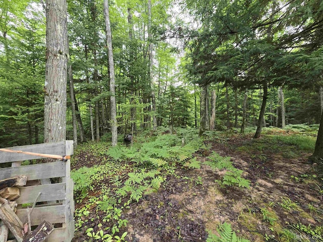 view of landscape with a wooded view