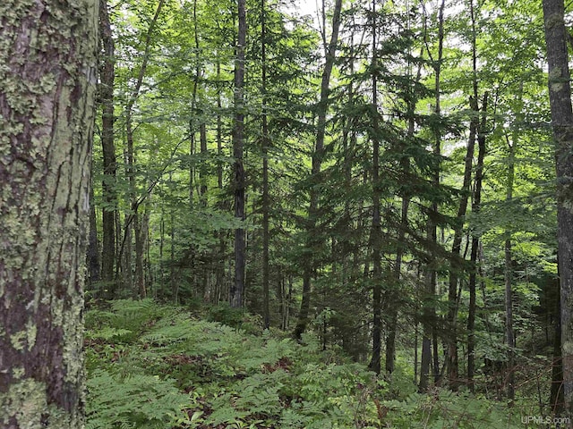 view of landscape with a view of trees