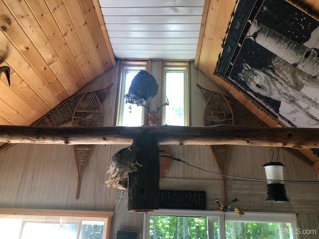 interior space featuring wood ceiling, lofted ceiling, and a healthy amount of sunlight