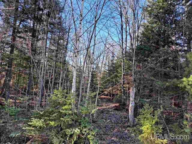 1059 Highland Dr, Ishpeming MI, 49849 land for sale