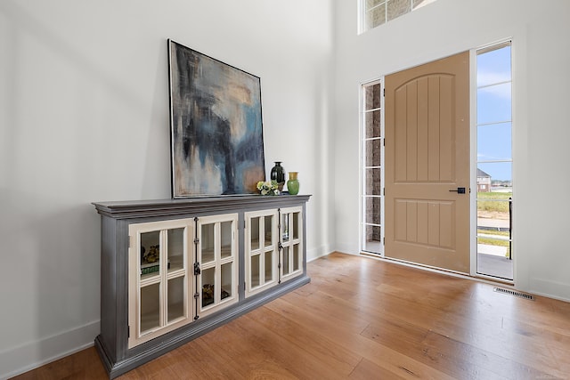 foyer entrance with wood-type flooring