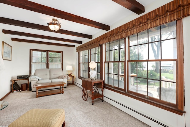 living room featuring a baseboard heating unit, carpet, and a wealth of natural light