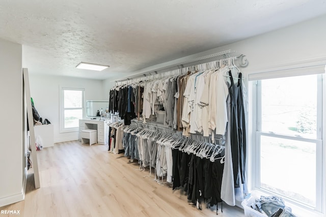 spacious closet with light wood-type flooring