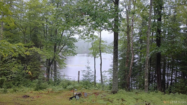 view of water feature