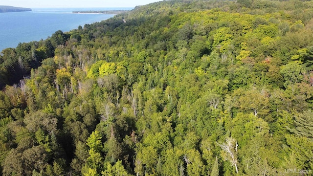 Listing photo 3 for ON Sand Point Rd, Munising MI 49862