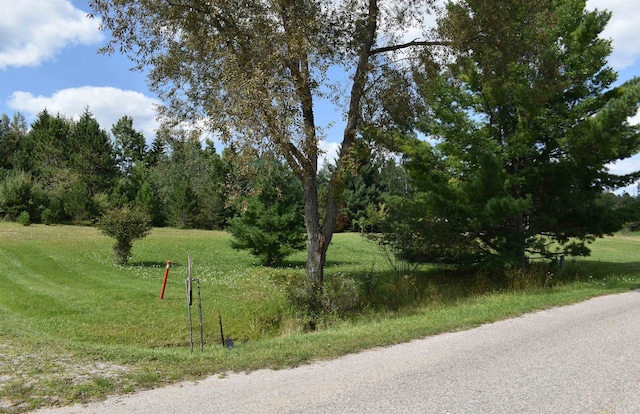 LOT12 Hampton Dr, Gladwin MI, 48624 land for sale