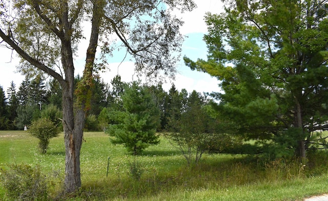 Listing photo 2 for LOT12 Hampton Dr, Gladwin MI 48624