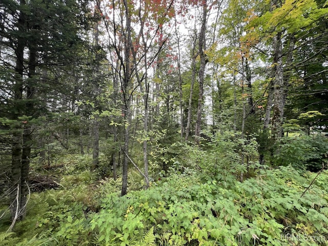 TBD W Brule Lake Rd, Iron River MI, 49935 land for sale