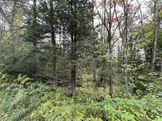 Listing photo 2 for TBD W Brule Lake Rd, Iron River MI 49935