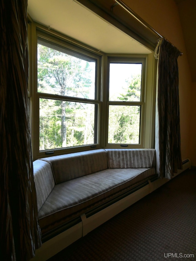 unfurnished room with a wealth of natural light and carpet flooring