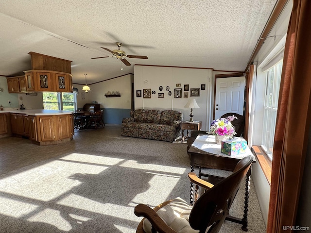 living room featuring crown molding, a ceiling fan, vaulted ceiling, and a textured ceiling