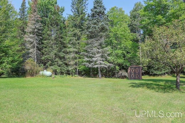 view of yard featuring a storage shed