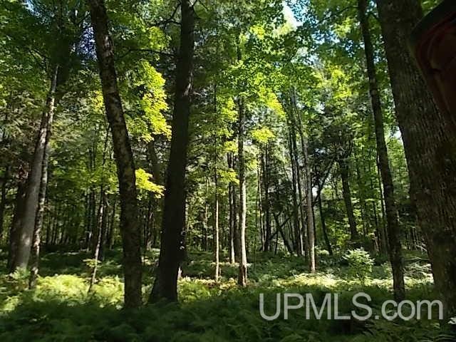 view of nature featuring a forest view