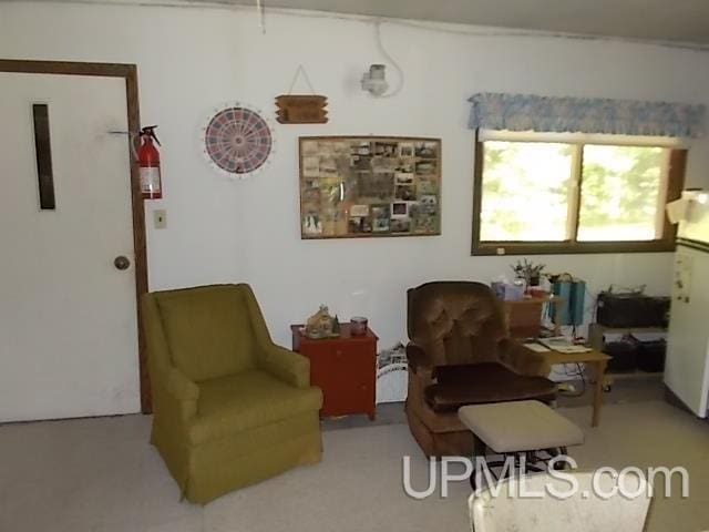 sitting room featuring carpet