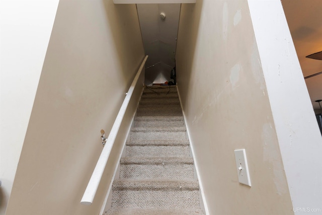 stairs featuring carpet floors