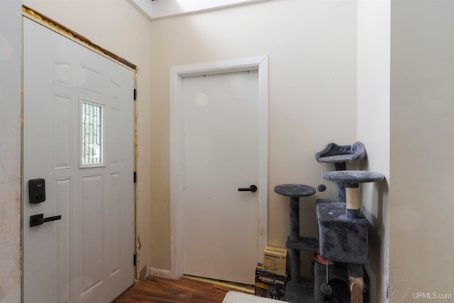 entryway featuring hardwood / wood-style flooring