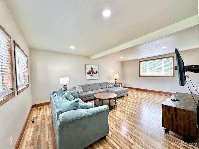 living room with light hardwood / wood-style flooring