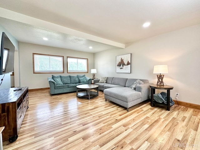 living room with light hardwood / wood-style flooring