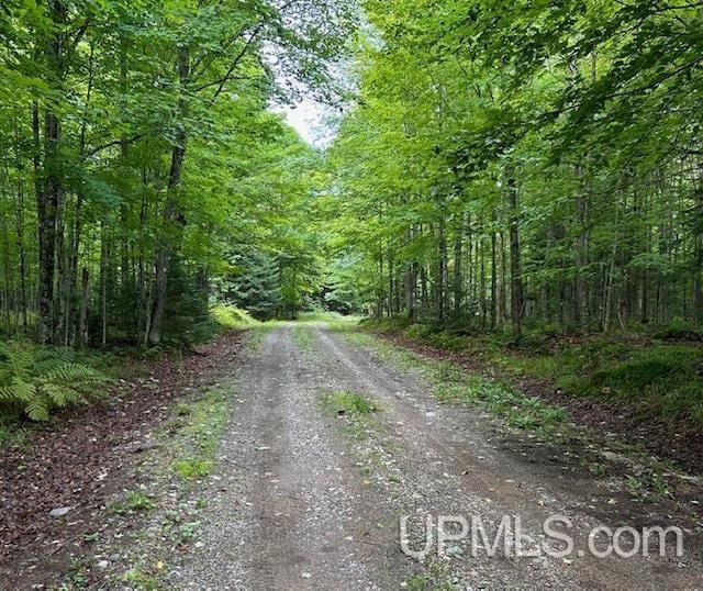 view of road featuring a forest view