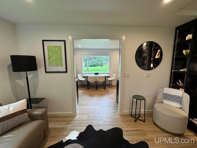 living room featuring light hardwood / wood-style floors