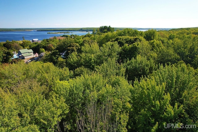 bird's eye view featuring a water view