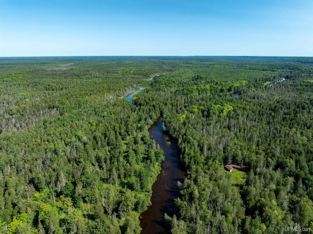 bird's eye view with a view of trees