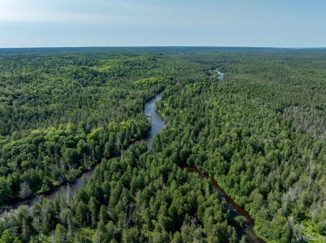 bird's eye view with a view of trees and a water view