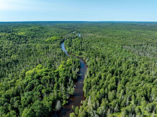 bird's eye view featuring a view of trees and a water view