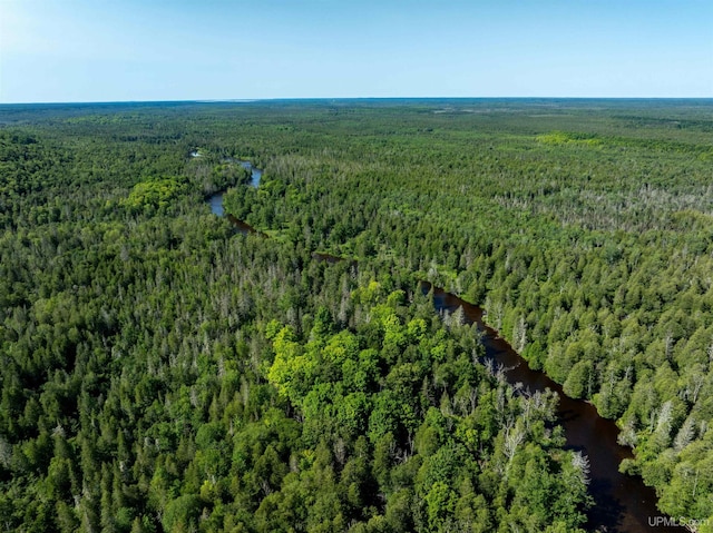 aerial view featuring a view of trees and a water view