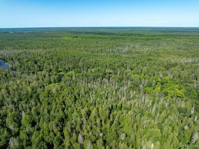 aerial view featuring a forest view
