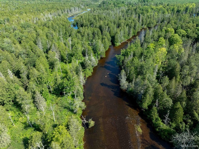 birds eye view of property with a forest view and a water view