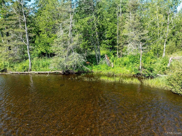 view of local wilderness featuring a water view