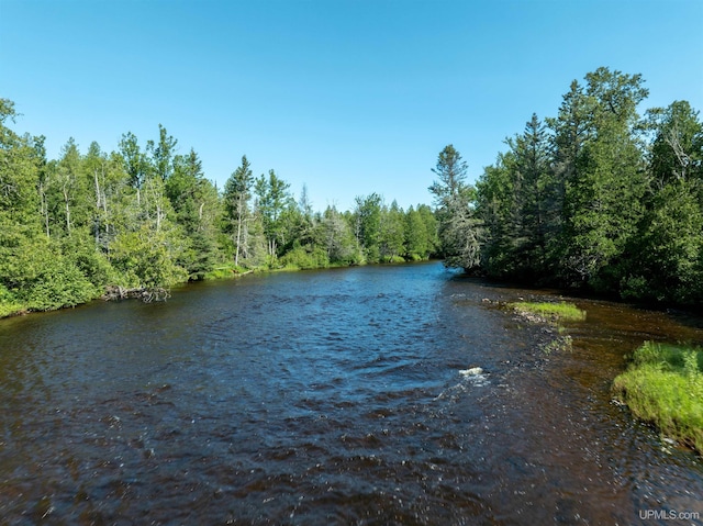view of water feature featuring a view of trees