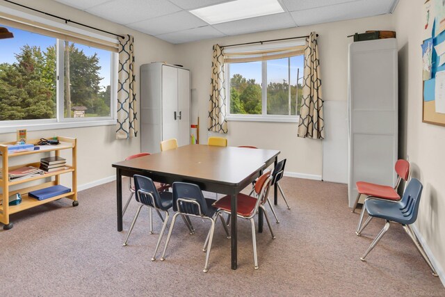 dining area featuring carpet flooring, a wealth of natural light, and a drop ceiling