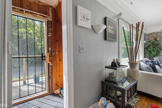 interior space featuring plenty of natural light and wood-type flooring