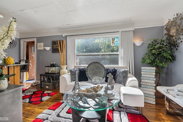 living room with hardwood / wood-style flooring