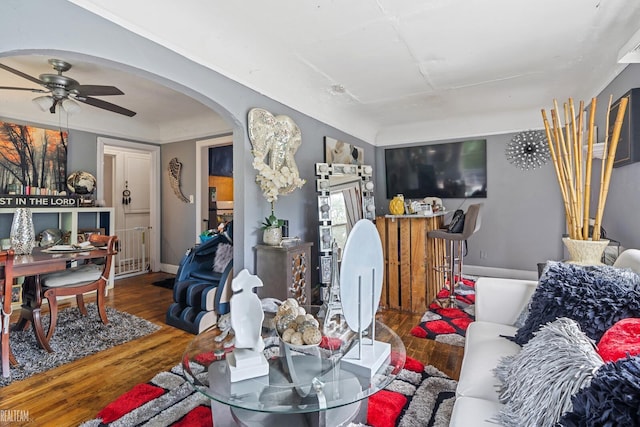 living room with ceiling fan and hardwood / wood-style flooring