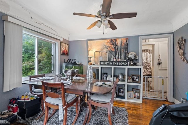 dining area featuring hardwood / wood-style floors and ceiling fan