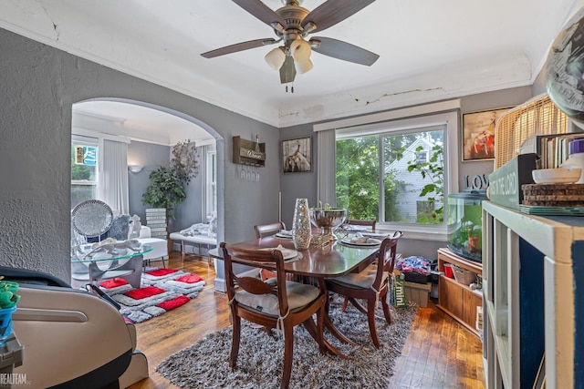 dining area featuring ceiling fan, ornamental molding, and hardwood / wood-style flooring