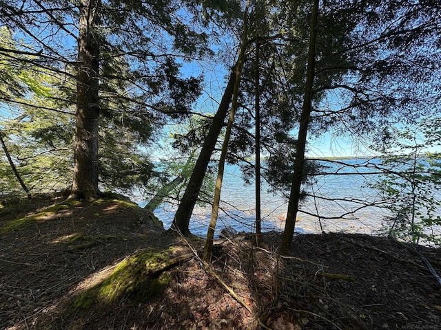 TBD Reindeer Run, Munising, MI 49862
