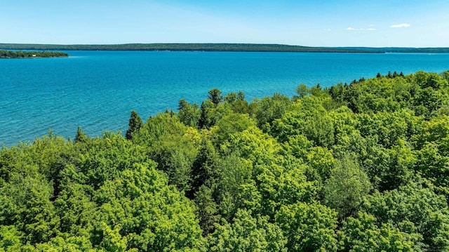 TBD Reindeer Run, Munising, MI 49862