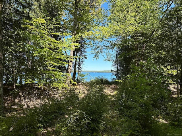 TBD Reindeer Run, Munising, MI 49862