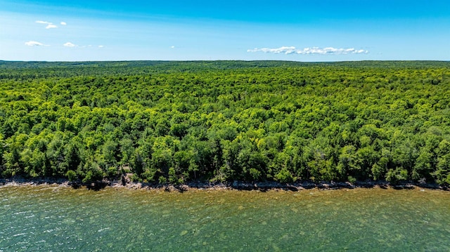 Listing photo 2 for TBD Reindeer Run, Munising MI 49862