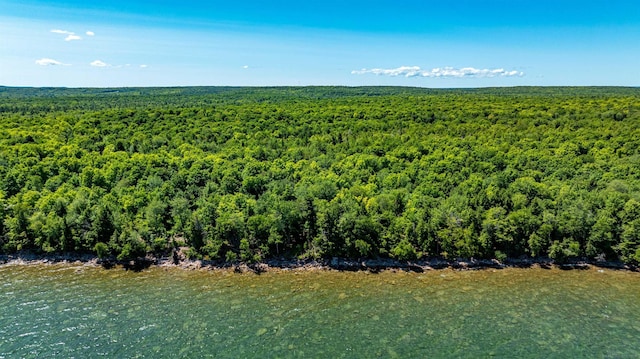 TBD Reindeer Run, Munising, MI 49862